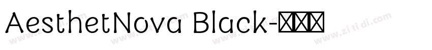 AesthetNova Black字体转换